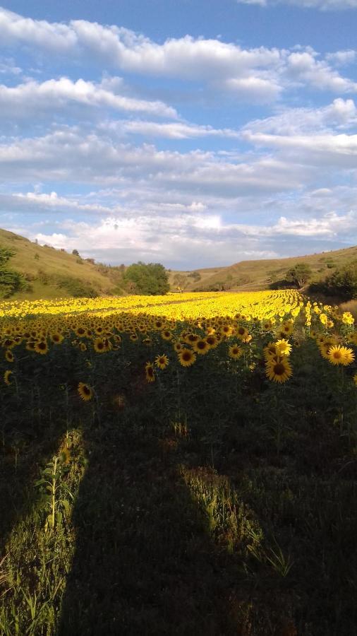 Ma Caravane Dans Les Collines Villeneuve-la-Comptal Kültér fotó
