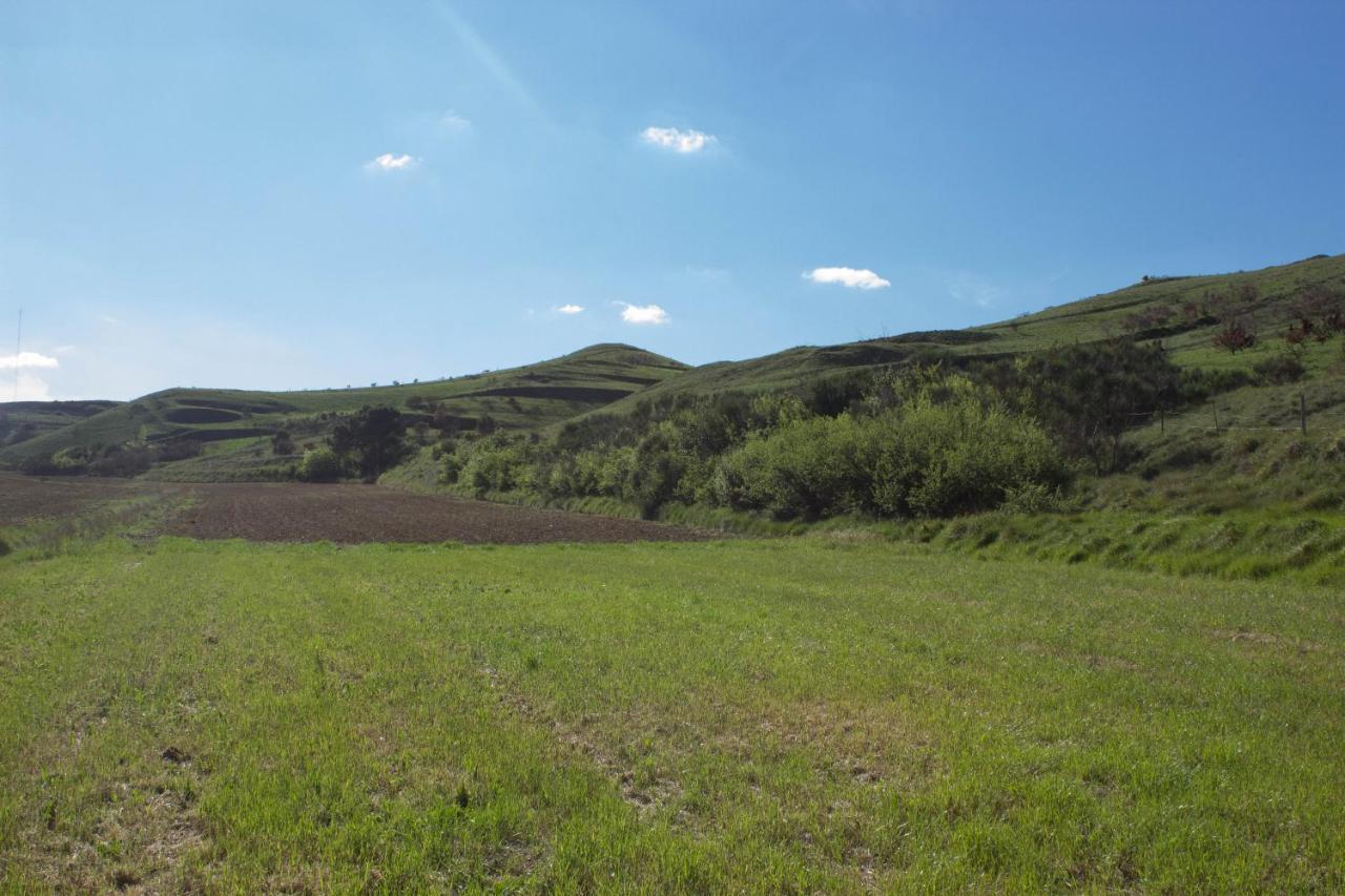 Ma Caravane Dans Les Collines Villeneuve-la-Comptal Kültér fotó